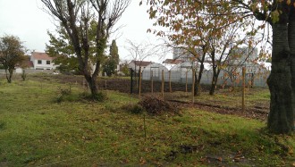 La ferme des possibles -Basse cour et serres