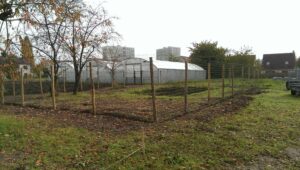 La ferme des Possibles - Vue du terrain avec la future basse cour et serres 